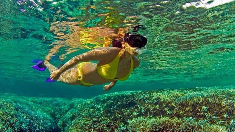 Snorkeling at Pigeon Island Trincomalee