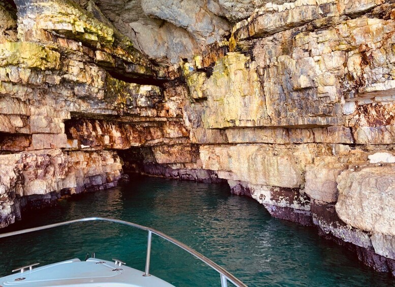 Picture 3 for Activity Polignano a Mare: Boat Cave Tour by Night