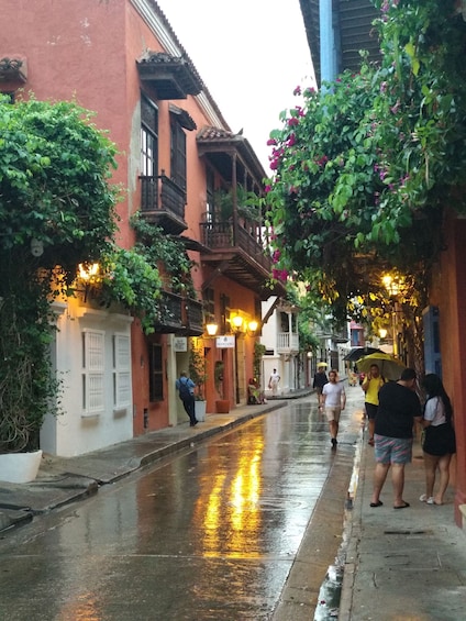 Picture 3 for Activity Cartagena: Private City Tour in an Air-Conditioned Vehicle