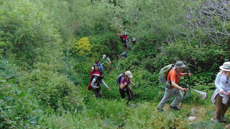 Tinos: Tarampados to Komi Guided Hiking Tour
