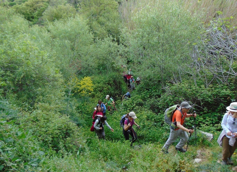 Tinos: Tarampados to Komi Guided Hiking Tour