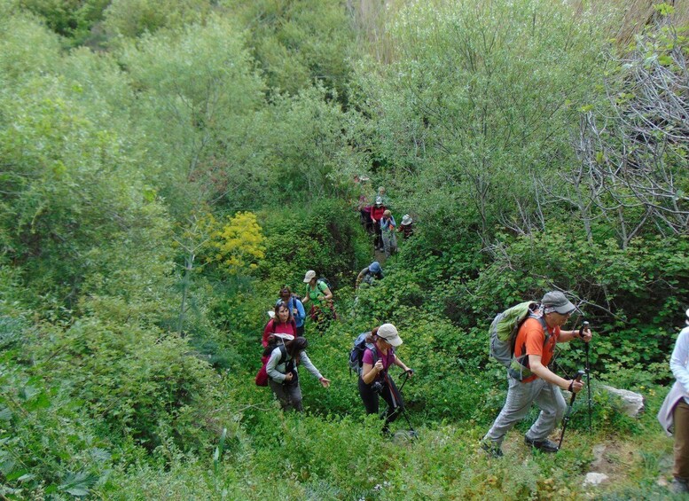 Tinos: Tarampados to Komi Guided Hiking Tour