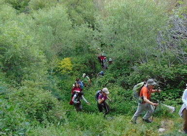 Tinos: Tarampados to Komi Guided Hiking Tour