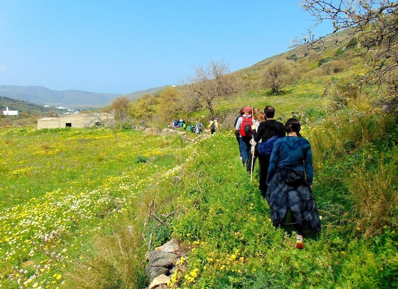 Picture 1 for Activity Tinos: Tarampados to Komi Guided Hiking Tour