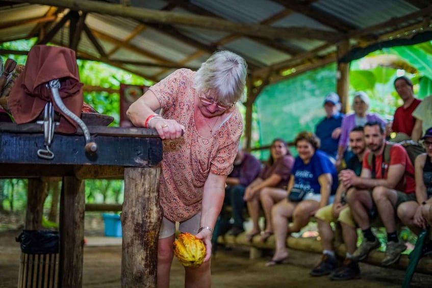 Rain forest chocolate tours