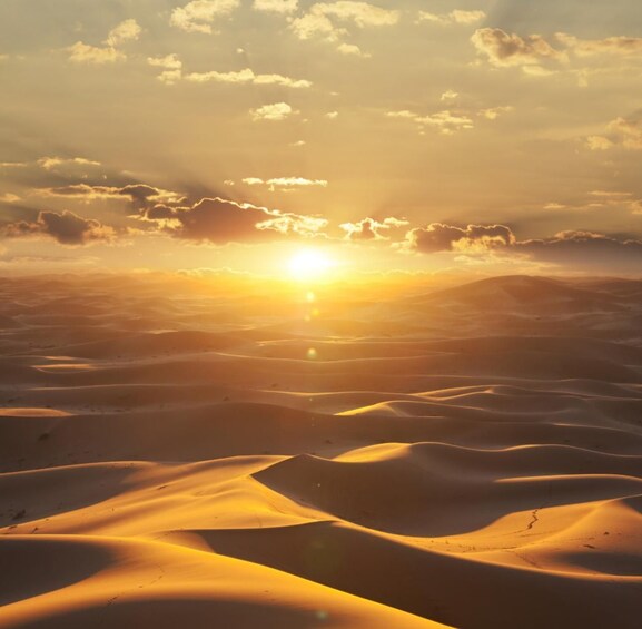 Picture 15 for Activity From Doha: Sunrise or Sunset Safari with Sand Boarding