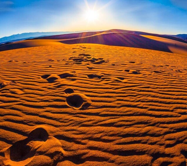 From Doha: Sunrise or Sunset Safari with Sand Boarding