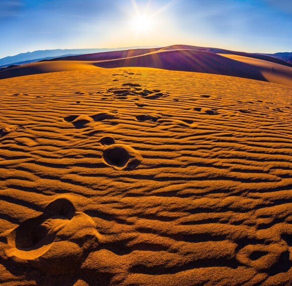 Picture 13 for Activity From Doha: Sunrise or Sunset Safari with Sand Boarding