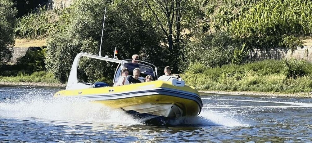 Picture 3 for Activity Dresden: 2h Private Boat Tour up to 10 Persons powerful RIB