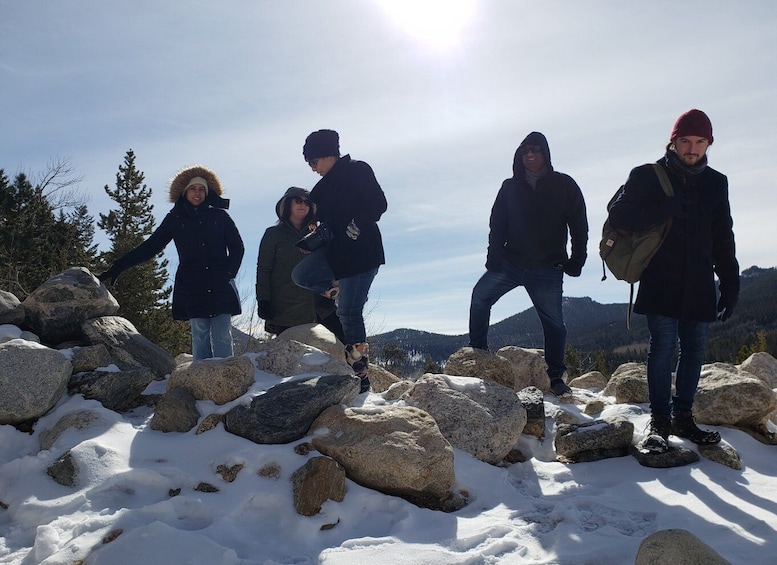 Picture 5 for Activity From Denver: Rocky Mountain National Park Fall/Winter Tour