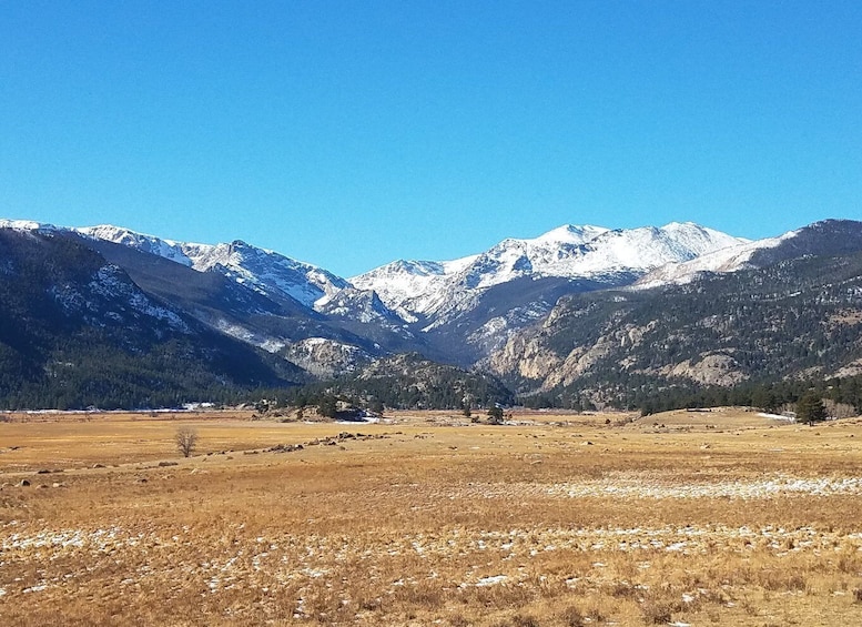 Picture 11 for Activity From Denver: Rocky Mountain National Park Winter/Spring Tour