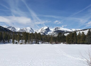 From Denver: Rocky Mountain National Park Autumn/Winter Tour