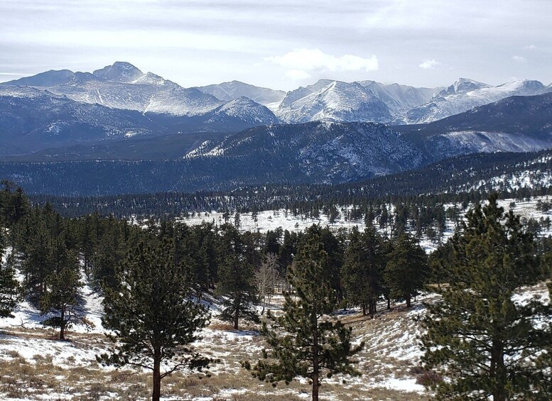 Picture 10 for Activity From Denver: Rocky Mountain National Park Fall/Winter Tour