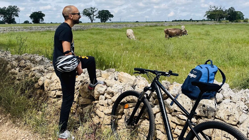 Picture 14 for Activity Puglia/Bari: A bike experience among vineyards and wineries