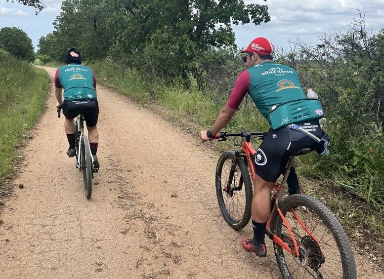 Picture 8 for Activity Puglia/Bari: A bike experience among vineyards and wineries