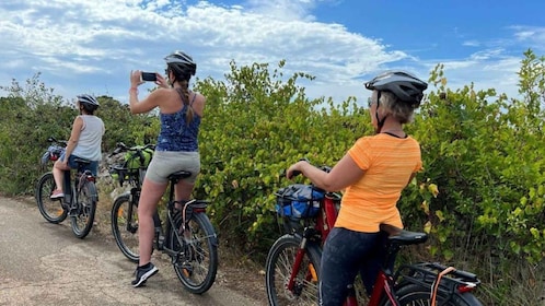 Gioia del Colle: E-Bike Ride to a Local Winery with Tasting
