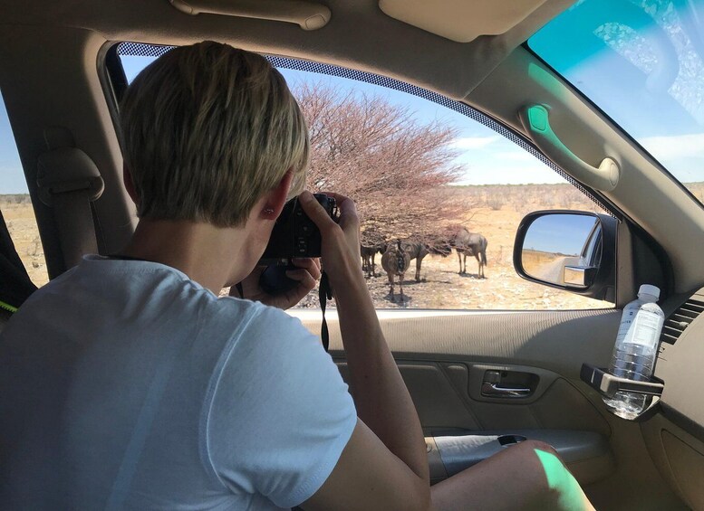 Picture 1 for Activity Etosha 4x4 Open Private Safari Full Day