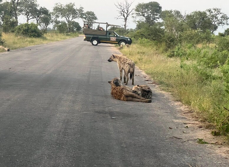 Picture 4 for Activity Etosha 4x4 Open Private Safari Full Day