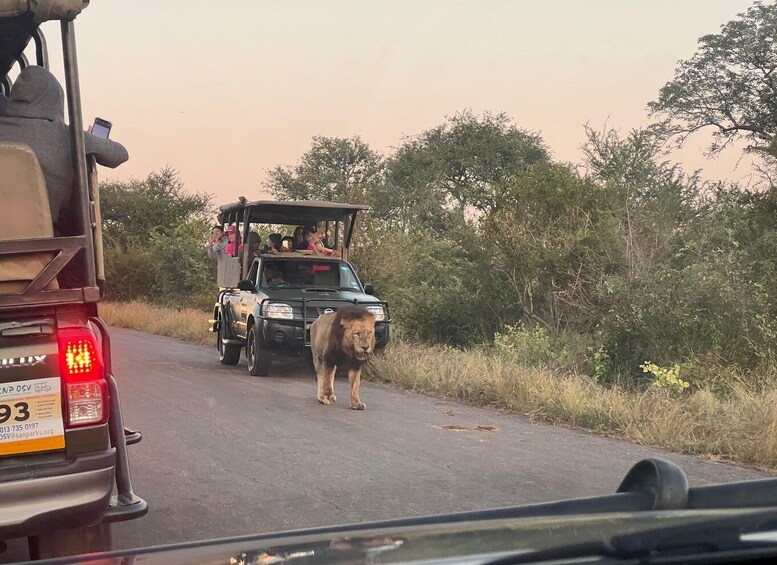 Picture 3 for Activity Etosha 4x4 Open Private Safari Full Day