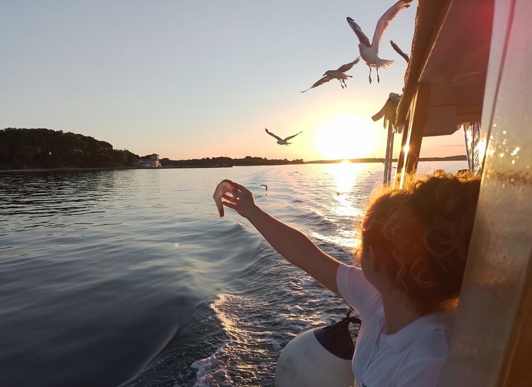 Picture 15 for Activity Pula: Dolphin-Watching Cruise at Sunset with Dinner & Drinks