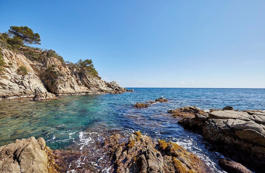 Picture 3 for Activity Lloret de Mar: Costa Brava Kayak Tour and Swimming