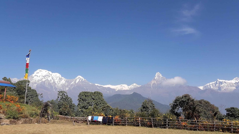 Picture 7 for Activity 7 Day Himalayan Highlights: Culture, Mountain, Jungle Safari