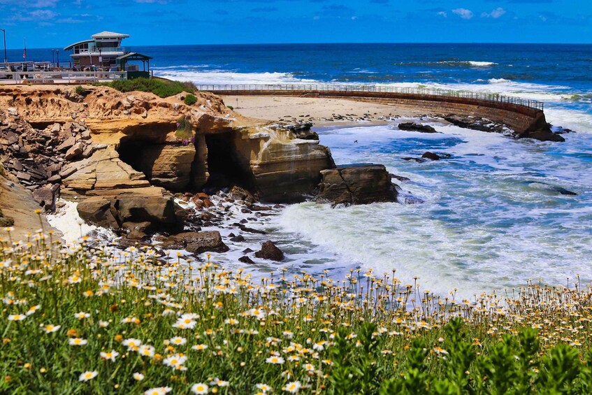 Picture 4 for Activity A Seaside Stroll: La Jolla's Hidden Treasures Walking Tour