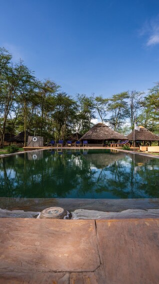 Picture 42 for Activity From Zanzibar: Safari Experience & Breathtaking Lake Natron