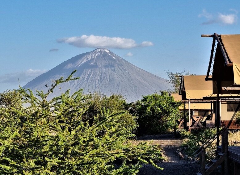 From Zanzibar: Safari Experience & Breathtaking Lake Natron