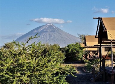 Von Sansibar aus: Safari-Erlebnis und atemberaubender Lake Natron