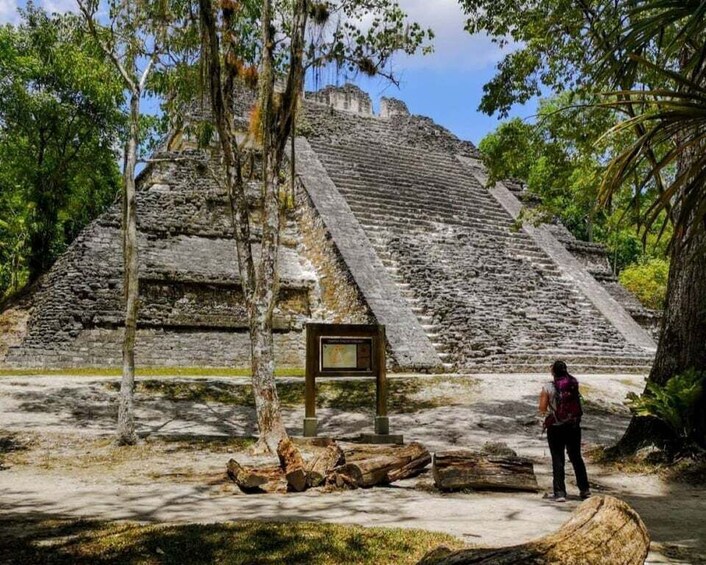 Picture 1 for Activity From Flores: Tikal National Park Private Day Trip with Lunch