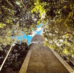 From Flores: Tikal National Park Private Day Trip with Lunch