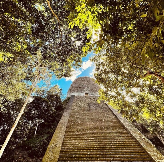 From Flores: Tikal National Park Private Day Trip with Lunch