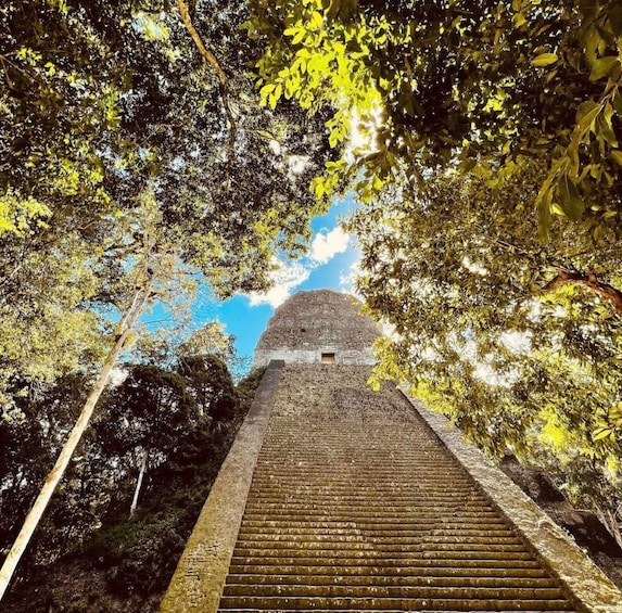 From Flores: Tikal National Park Private Day Trip with Lunch
