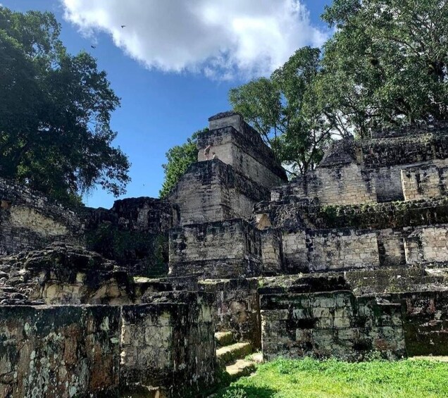 Picture 4 for Activity From Flores: Tikal National Park Private Day Trip with Lunch