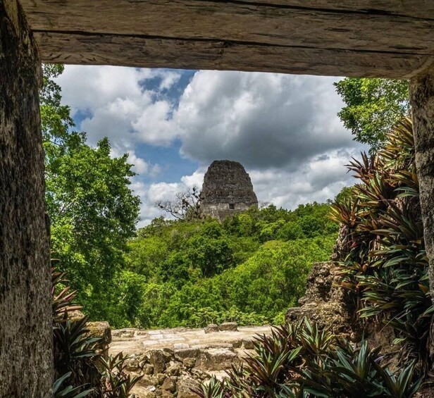 Picture 2 for Activity From Flores: Tikal National Park Private Day Trip with Lunch