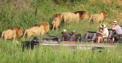 Private Full Day Safari Adventure in Addo National Park