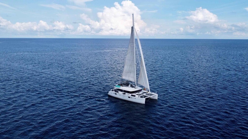 Picture 5 for Activity Nassau: Gourmet dinner & sunset cruise on luxury catamaran