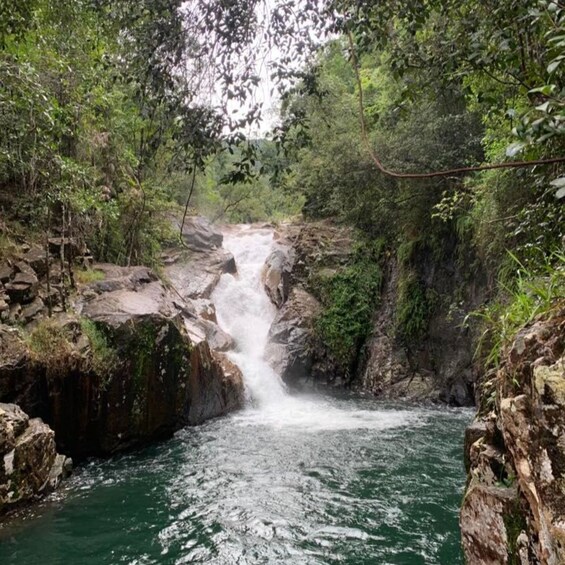 Mackay: Finch Hatton Gorge Hike, Swim & Platypus Adventure