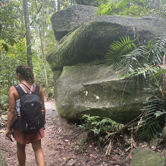 Picture 1 for Activity Mackay: Finch Hatton Gorge Hike, Swim & Platypus Adventure