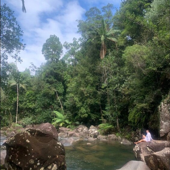 Picture 3 for Activity Mackay: Finch Hatton Gorge Hike, Swim & Platypus Adventure