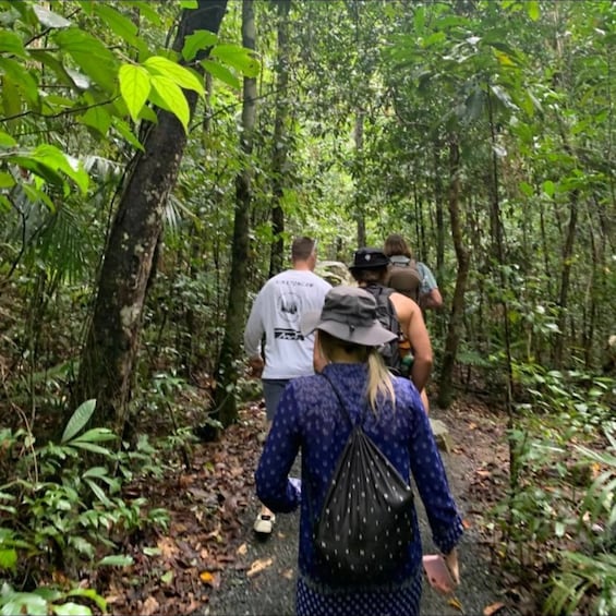 Picture 2 for Activity Mackay: Finch Hatton Gorge Hike, Swim & Platypus Adventure