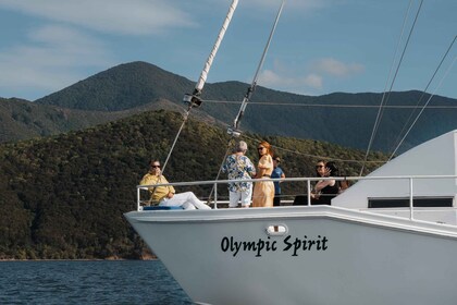 Desde Picton: crucero por Marlborough Sounds con mariscos