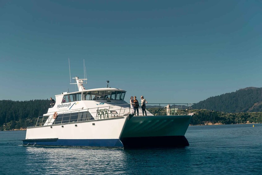 Picture 2 for Activity From Picton: Marlborough Sounds Cruise with Seafood