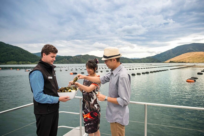 Picture 4 for Activity From Picton: Marlborough Sounds Cruise with Seafood