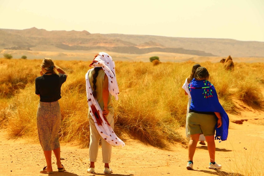 Picture 4 for Activity Private 2-Day Camel Trekking with All Inclusive Luxury Camp