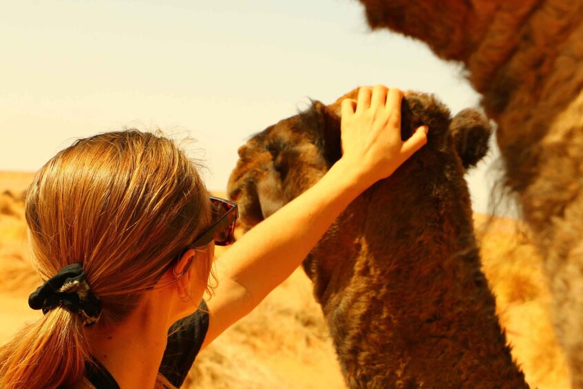 Picture 3 for Activity Private 2-Day Camel Trekking with All Inclusive Luxury Camp