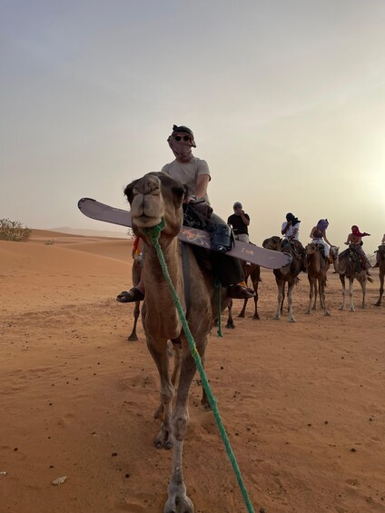 Picture 7 for Activity Private 2-Day Camel Trekking with All Inclusive Luxury Camp
