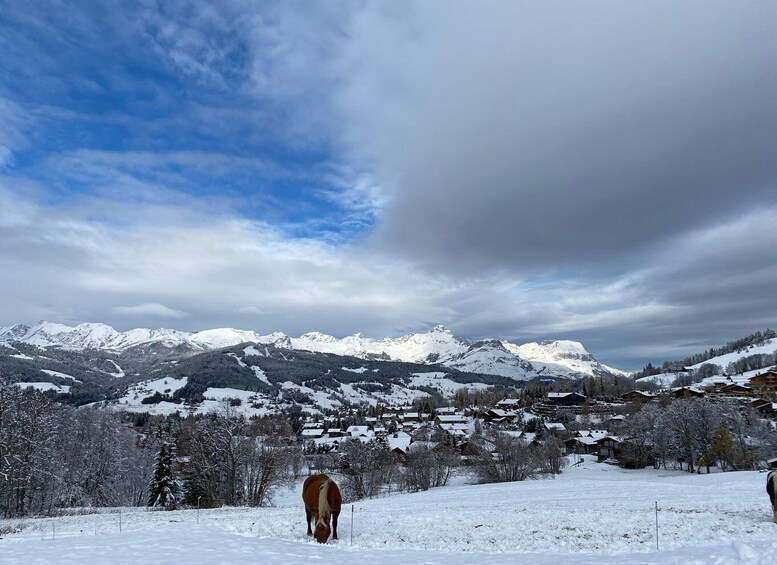 Picture 6 for Activity Bespoke Private Megève Luxury Experience