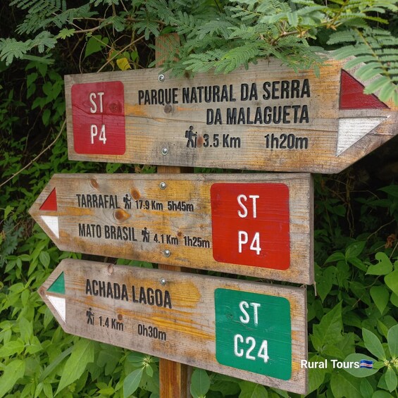 Picture 1 for Activity Hiking Serra Malagueta Natural Park